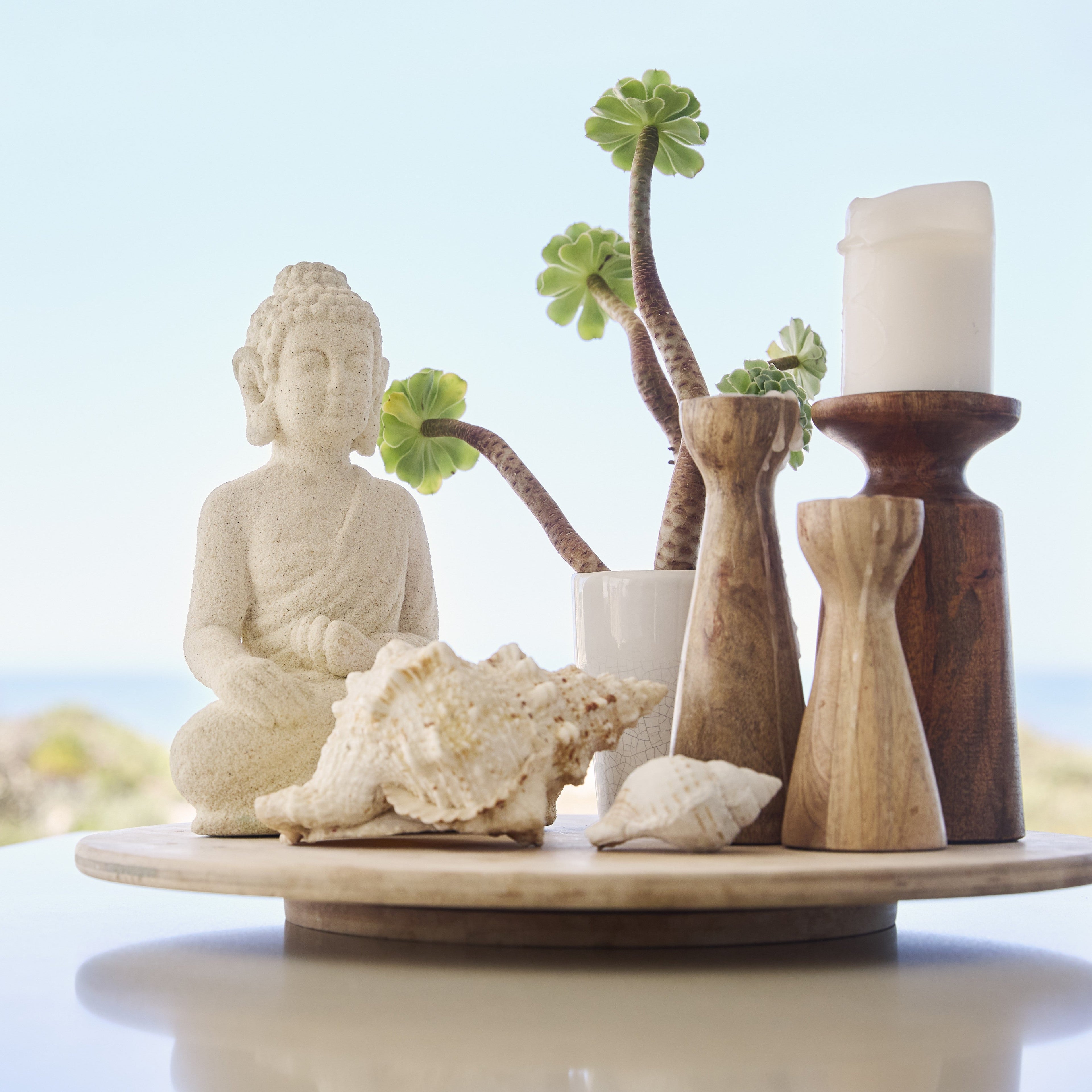 Home Wellness Products