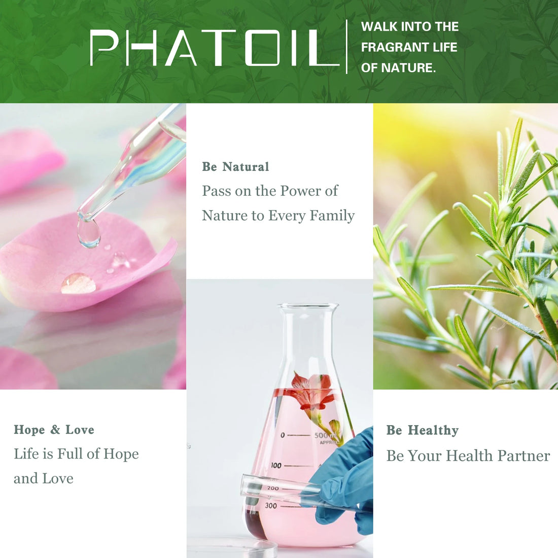 PHATOIL 10ml Pure Natural Essential Oil – Air Freshener Refill for Diffusers & Humidifiers