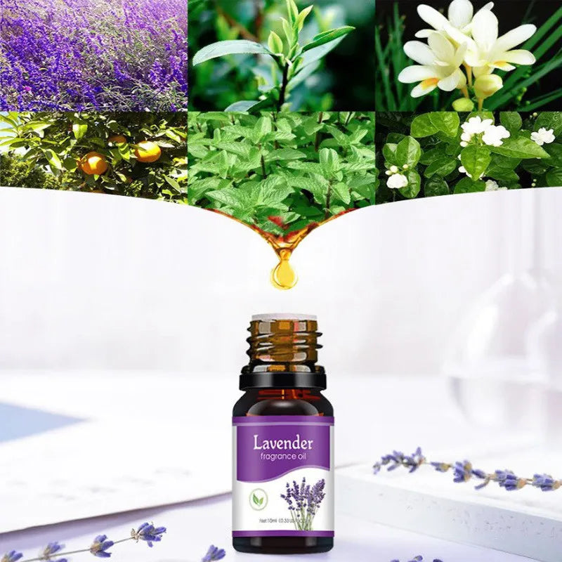 10ml Natural Essential Oil – Air Freshener Refill for Diffusers & Humidifiers